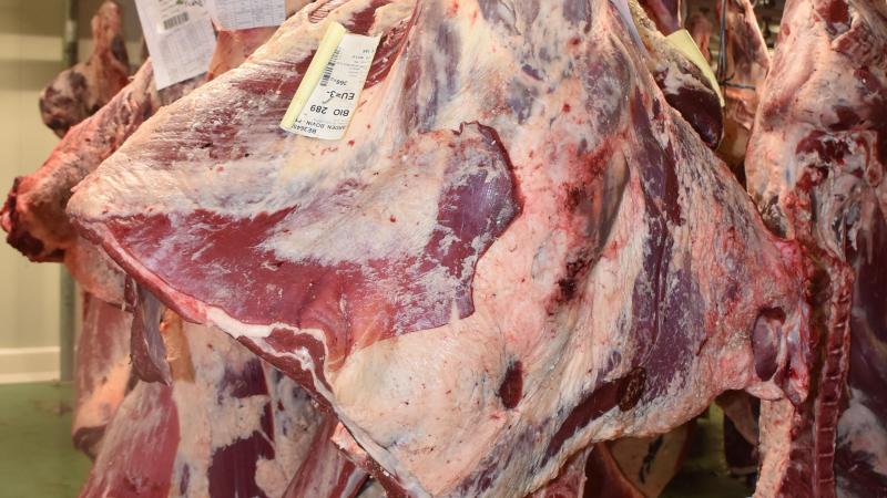 C’est en mai 2019 que sont sorties les premières carcasses pour être livrées en boucheries.