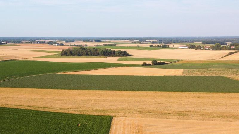 Le système de surveillance des surfaces agricoles peut également détecter d’autres activités comme l’imperméabilisation des sols ou vérifier encore s’il s’agit de terres arables,  d’espaces verts ou de champs cultivés et quand ils sont fauchés.