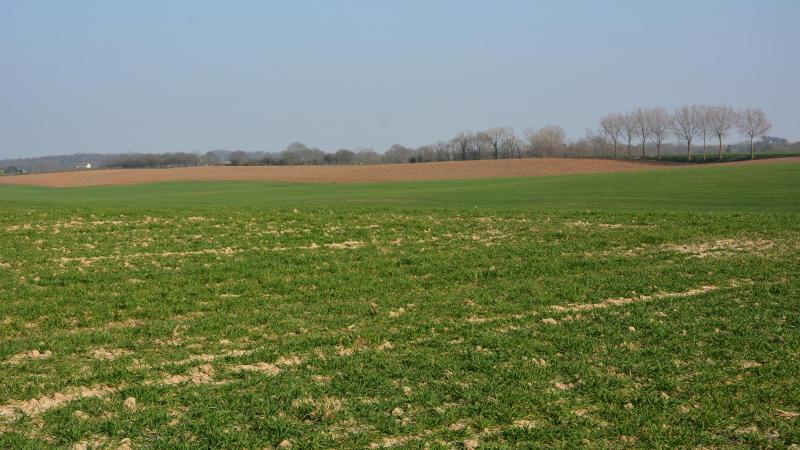 L’accès à la terre reste l’un des principaux freins rencontrés  par les jeunes désireux de s’installer en agriculture.