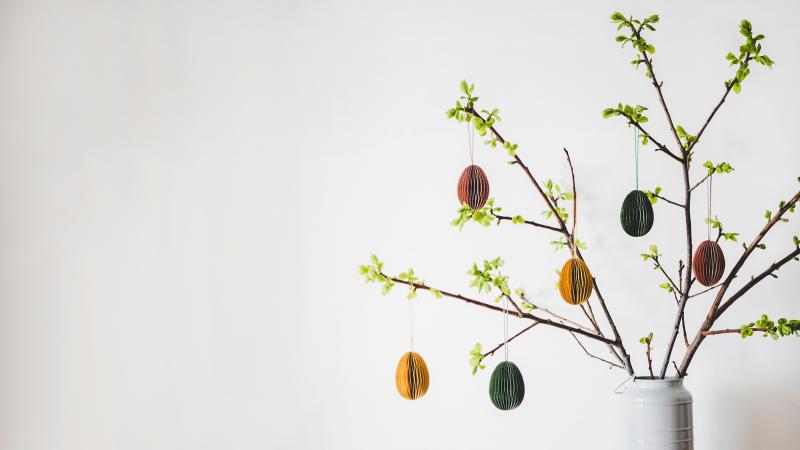 En ce début de printemps, la branche  de Pâques apportera de la couleur  dans votre intérieur.