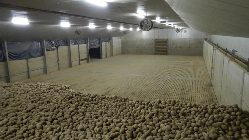 Depuis la deuxième thermonébulisation, tous les hangars sont sous contrôle et ne posent plus de problème particulier au niveau de la germination.