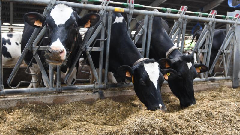 Le prix du lait à la production commence à subir d’importants correctifs en Europe du Nord, dans le sillage des cours des commodités laitières, ce qui devrait refroidir les ardeurs  de croissance de nombreux producteurs.