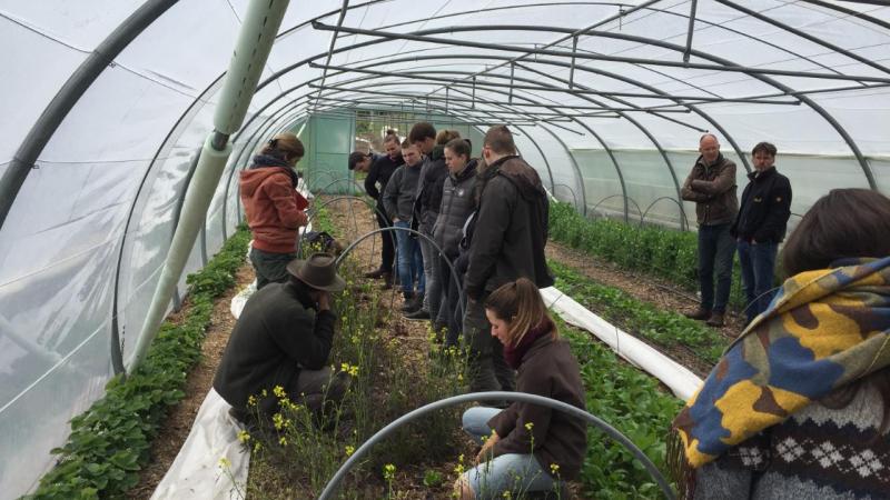 Formation en maraîchage bio.