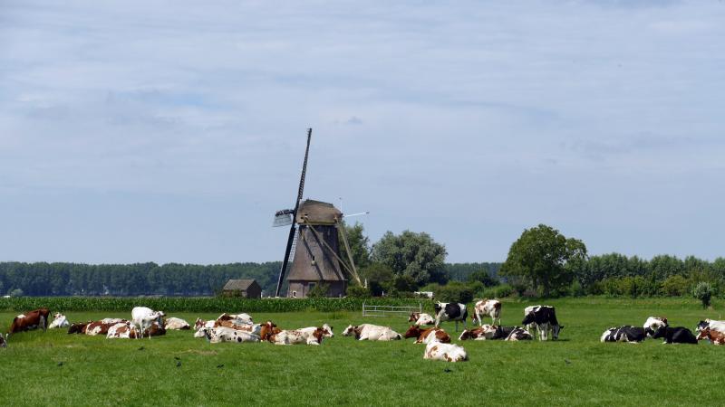 Les régimes d’aides d’État validé par Bruxelles pourront rester en vigueur jusqu’au 27 février 2028. Les bénéficiaires s’engagent à fermer définitivement leur production animale.
