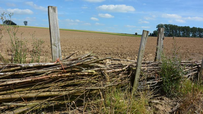 Outre une dérogation pour les « petites parcelles », il est question de faire valider par un expert indépendant l’ensemble des aménagements et des modes de cultures déjà mis en œuvre par les agriculteurs pour lutter contre l’érosion.