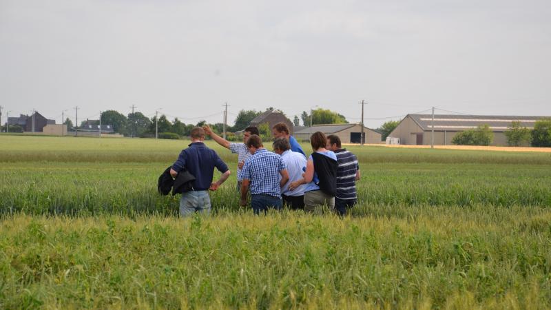 Si les semis des céréales pour la saison 2023 ne sont pas à l’ordre du jour, leur préparation en observant les variétés sur le terrain est un plus pour réussir la campagne de demain.