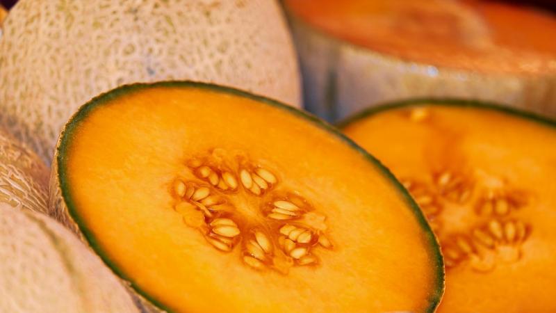 melon-g6521530e1_1280