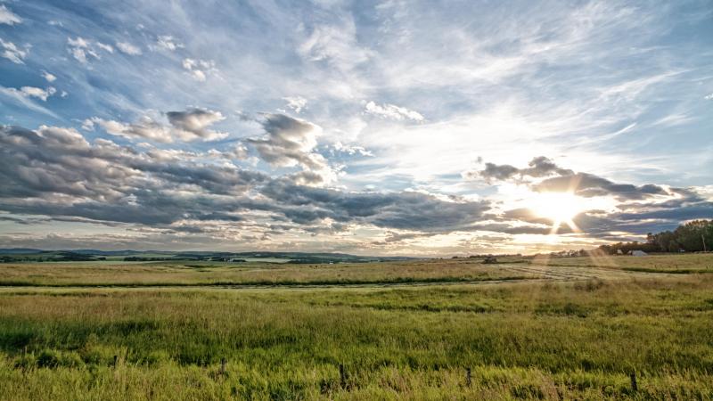 AdobeStock_64525954