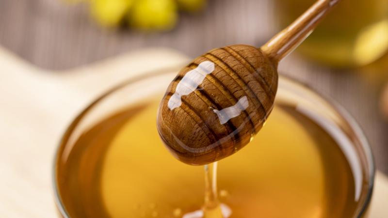 honey-4770245