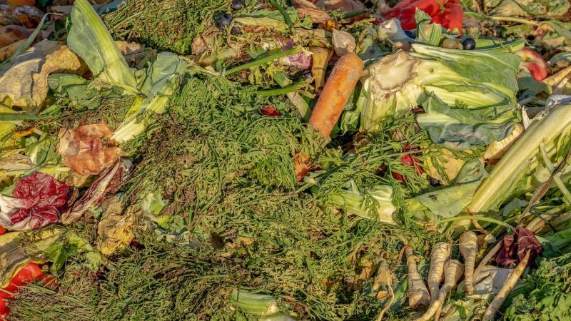 compost-3663514_1280