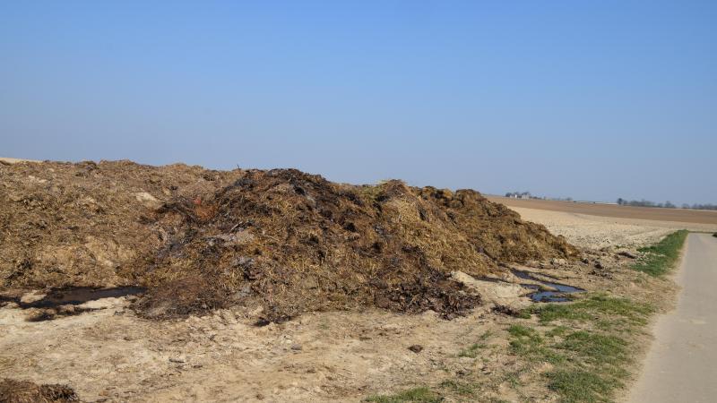 La Cour regrette le manque de suivi sur la gestion durable  des effluents d’élevage dans le cadre de la directive Nitrates.