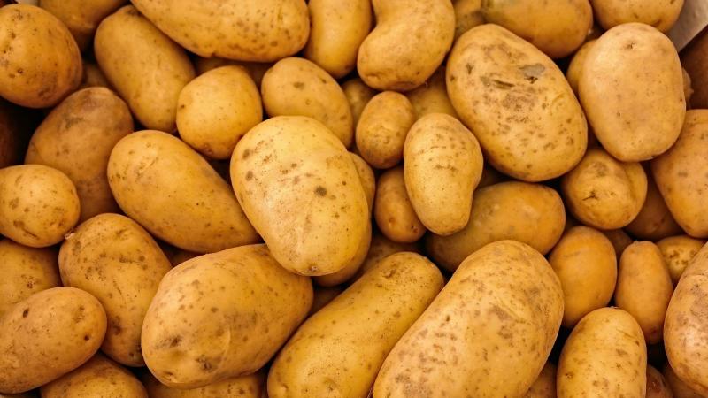 potatoes-411975_1920
