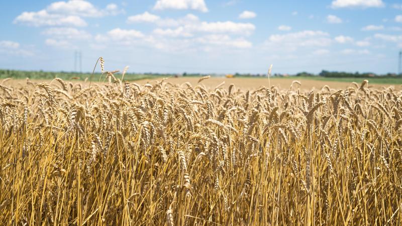 «Avec le jeu de la Russie qui utilise les céréales comme arme de guerre pour faire pression sur les Européens et les Ukrainiens, avec les contraintes du Green Deal qui mettent les agriculteurs sous pression, les agriculteurs doivent être rémunérés aussi pour ce qui n’est pas compris dans la PAC».