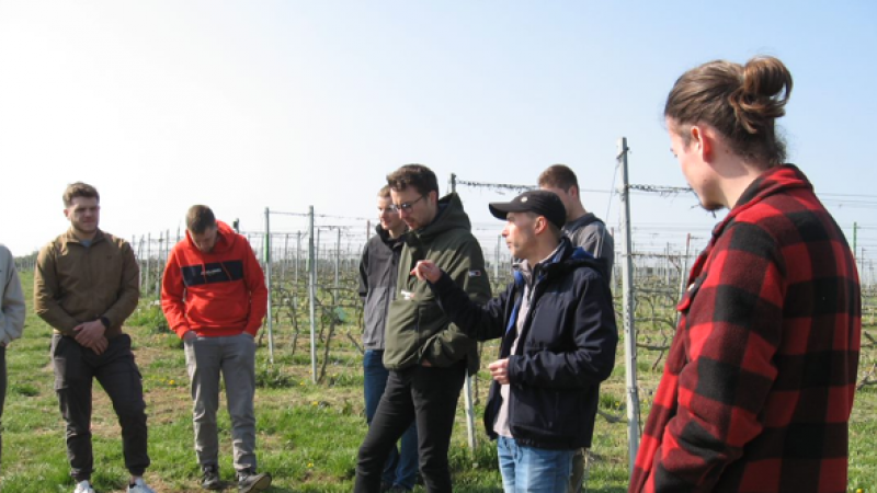 Les étudiantes et étudiants de l’orientation agro-industries et biotechnologies peuvent choisir entre deux options: techniques viti-vinicoles ou agroalimentaire et biotechnologies.