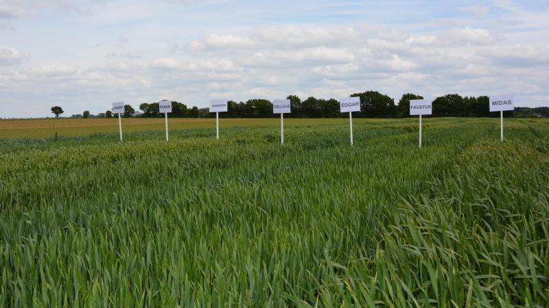 Il sera notamment  possible  de visiter des essais  en céréales  biologiques.