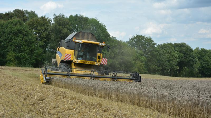 Pour les variétés de blé panifiables, l’humidité et le poids à l’hl doivent  être déterminées avant la récolte,  en accord bilatéral.