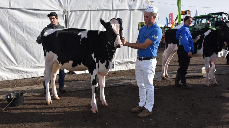La célèbre Ecole des jeunes Eleveurs, dont ce sera la 22ème édition, est le fleuron de la Foire de Battice.