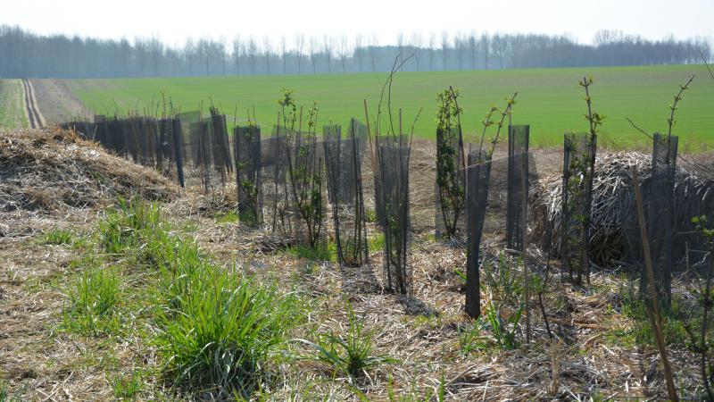 Le projet s’adresse aux agriculteurs, mais aussi  aux particuliers, entreprises, écoles...