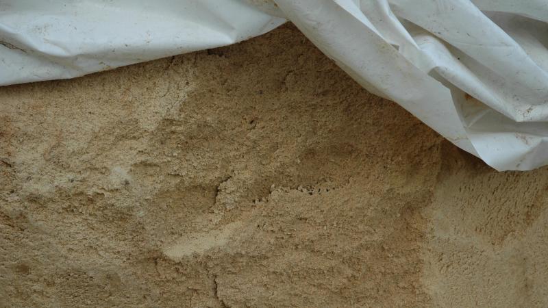 Le moment de la récolte est venu pour les agriculteurs qui souhaitent valoriser le maïs en grain humide.