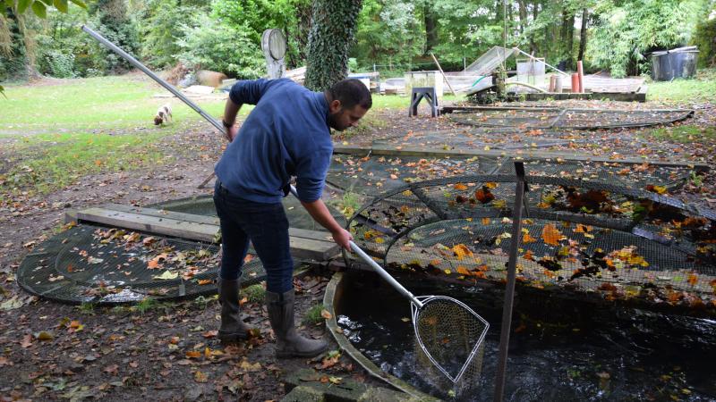 La pisciculture est composée de 7 bassins d’élevage.