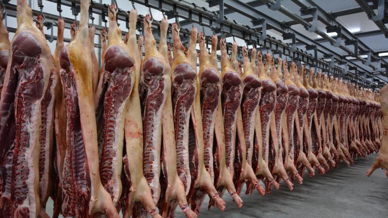 L’exportation de viande porcine vacille,  en raison de prix européens élevés  mais aussi d’une concurrence  internationale accrue.