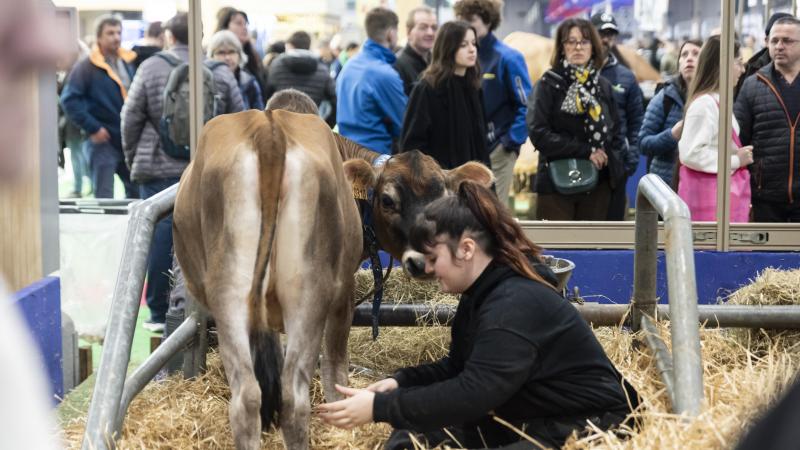 Sentir les liens qui unissent les éleveurs  et leurs animaux, tel est  un des objectifs du  salon parisien.