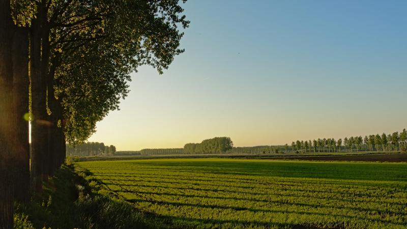La loi a prévu, en certains cas précis  et limitativement énumérés, des exceptions au droit de préempter et, par voie  de conséquence encore, à celui  de céder le droit de préempter.