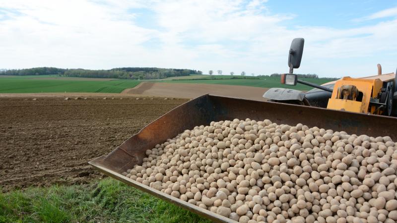 Selon Belpotato.be, certains producteurs voient leurs contrats être réduits  de 10 ou 20 %.