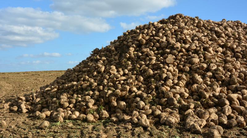Après trois mois consécutifs de baisse,  la tendance s’inverse pour les prix  du sucre.