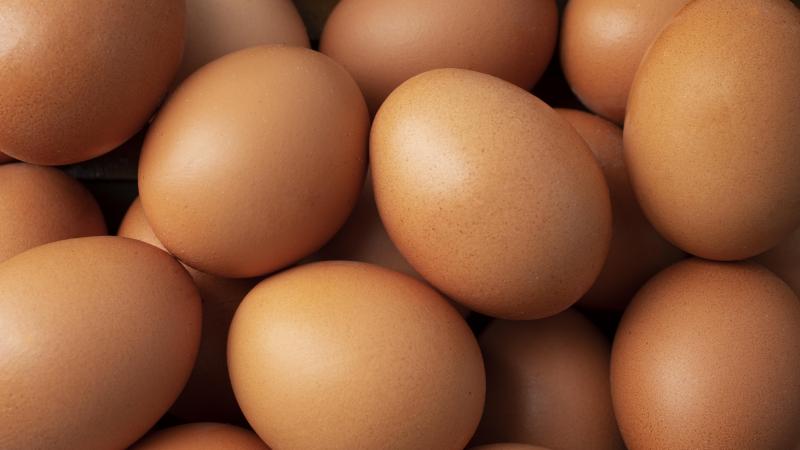 Les prix des œufs bondissent en raison d’un marché en déséquilibre au niveau mondial.