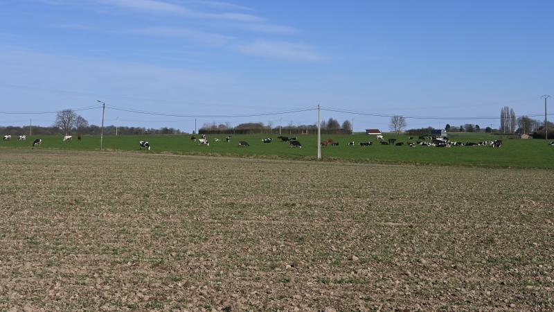 Après l’évacuation du bien, l’exploitation personnelle doit être assumée dans un délai de six mois, sur les parcelles concernées par le congé. Elle doit également être effective et continue durant neuf ans.