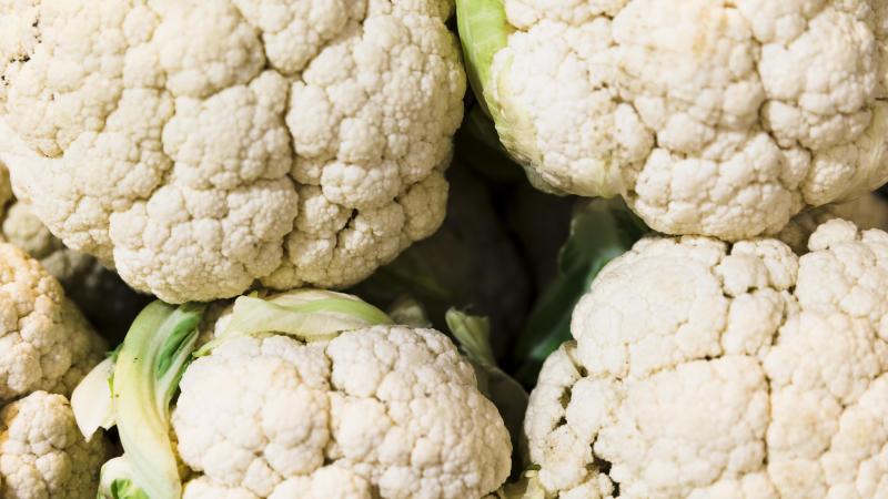 Pour ce légume, plusieurs variétés sont proposées afin de choisir celle qui correspondra le mieux aux besoins du maraîcher.