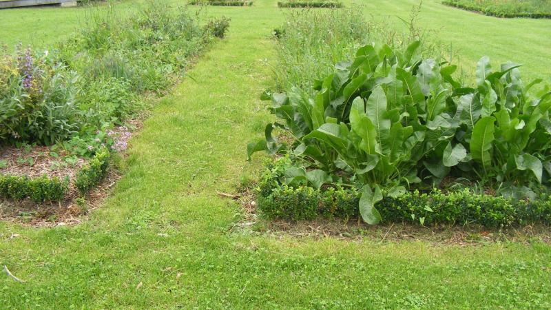 Les fumiers et composts sont incorporés très superficiellement lors des opérations de préparation et de décompaction du sol. Dans certains potagers ou jardin, il est choisi de les apporter uniquement en surface. Pour des règles d