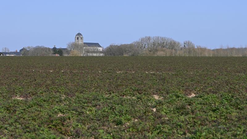 C’est sur les épaules du bailleur que repose l’obligation de prouver que le projet soutenant le congé est respecté ou, s’il ne l’est pas, que le bailleur doit faire face à un motif grave justificatif.