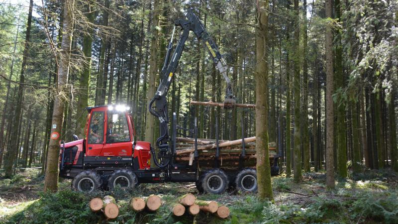 Les prix des épicés sains s’affichent en hausse, toutes catégories confondues,  ou presque.