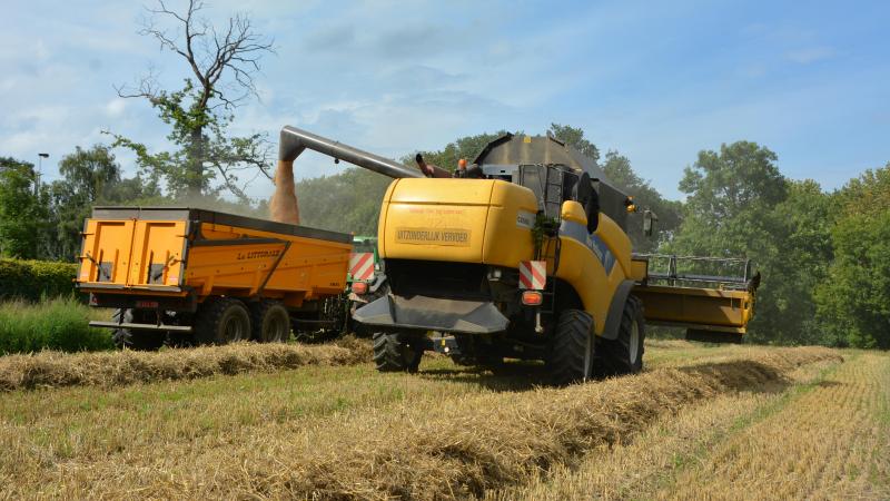La valeur de la production céréalière enregistre  une chute vertigineuse de 25,8 % en 2024,  par rapport à 2023.