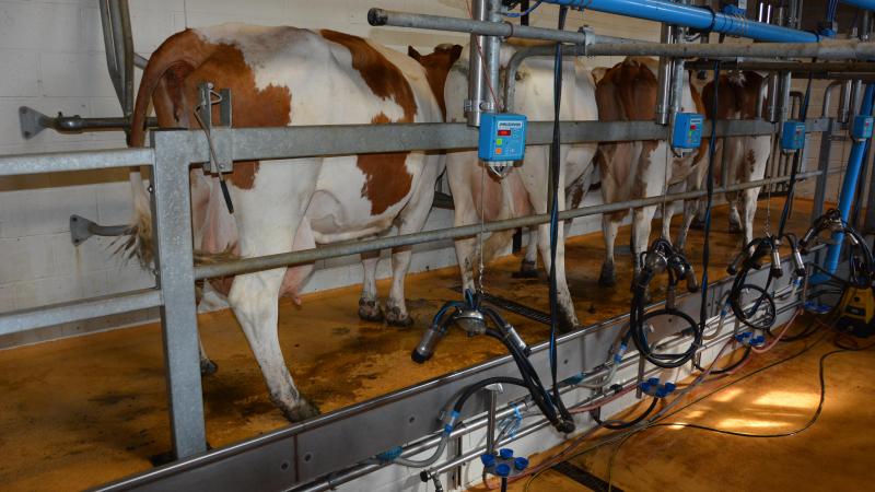 Bien que la FCO ait eu un impact sur la production laitière moyenne par exploitation, celle-ci s’affiche en hausse, à 541.201l.