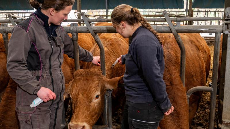Biosécurité: une faille peut coûter cher humainement et financièrement
