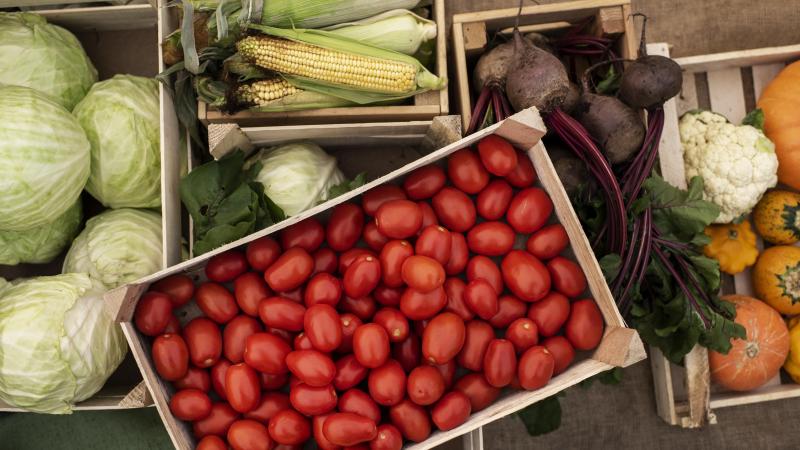 Une majorité de pays s’est prononcée pour que  le mécanisme de médiation (entre les agriculteurs   et leurs acheteurs) voulu par la commission soit  rendu volontaire (et non pas obligatoire).