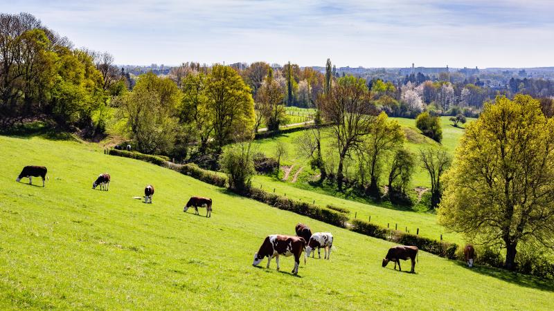 On notera parmi les mesures phares, l’exemption des exploitations de moins de 10ha des obligations de conditionnalité, ces règles environnementales qui conditionnent le versement des aides.