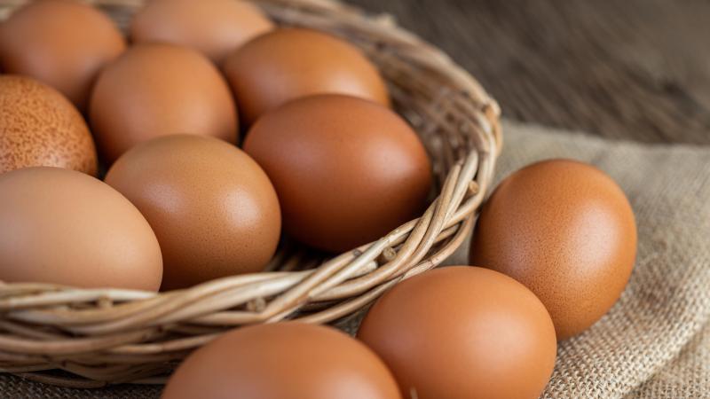 Les trois quarts des oeufs achetés sont issus de poules élevées en plein air.