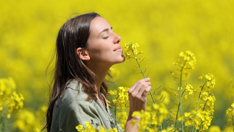 AdobeStock_434085493