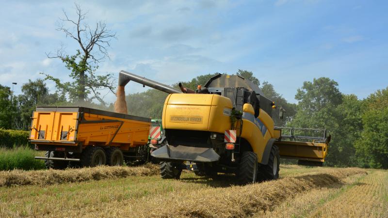 Pour les variétés de blé panifiables, l’humidité et le poids à l’hl doivent  être déterminées avant la récolte, en accord bilatéral.