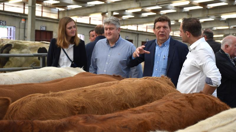 Voyage au coeur du centre névralgique de l’élevage belge pour le commissaire Hansen et l’eurodéputé irlandais Michael McNamara, entre Benoît Cassart et la ministre wallonne de l’Agriculture.