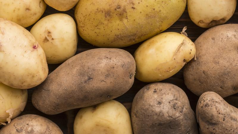 Le secteur de la pomme de terre se porte toutefois très bien en Belgique, selon Belgapom.
