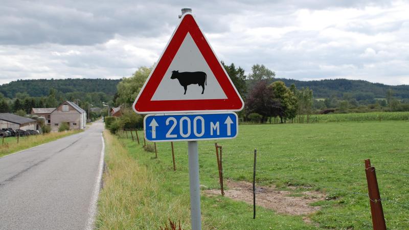 Pour la prochaine réforme, le think tank appelle  la commission à présenter une proposition ambitieuse car généralement la proposition initiale fixe les  paramètres du débat à venir.