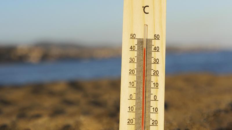 Selon les scientifiques, les canicules à répétition sont un marqueur sans équivoque du réchauffement de la planète et ces vagues de chaleur sont appelées à encore se multiplier, s