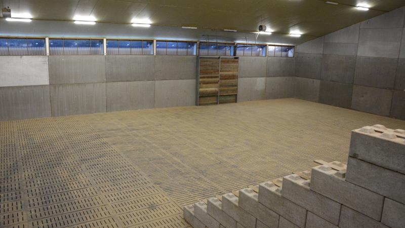 Alors que quelques hangars montraient encore des résidus de Cipc supérieurs à 0,01 mg/kg en 2023-2024, cela n’a pas été le cas pour la saison 2024-2025.