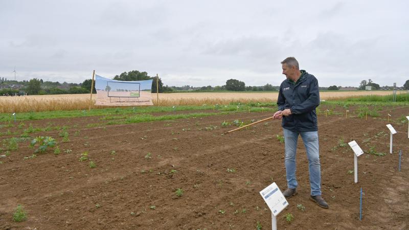 Bruno Burlet met en évidence la complémentarité et l’intérêt de l’association de différents herbicides racinaires pour élargir le spectre d’action et améliorer l’efficacité du désherbage.
