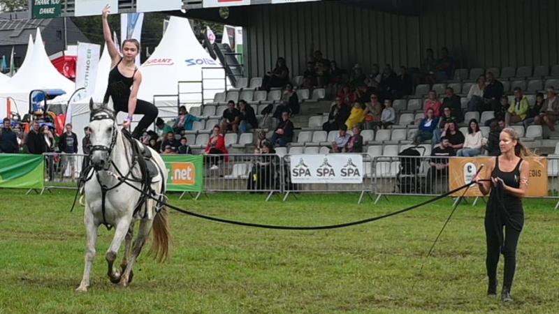 Spectacles, animations, compétitions... il y en aura pour tous les goûts.